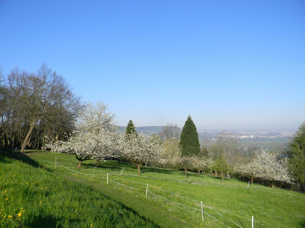 Hotel Landgut Burg Gmbh Weinstadt Buitenkant foto